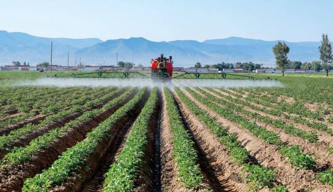 新华时评·首季中国经济观察丨凝心聚力打好农业开局仗