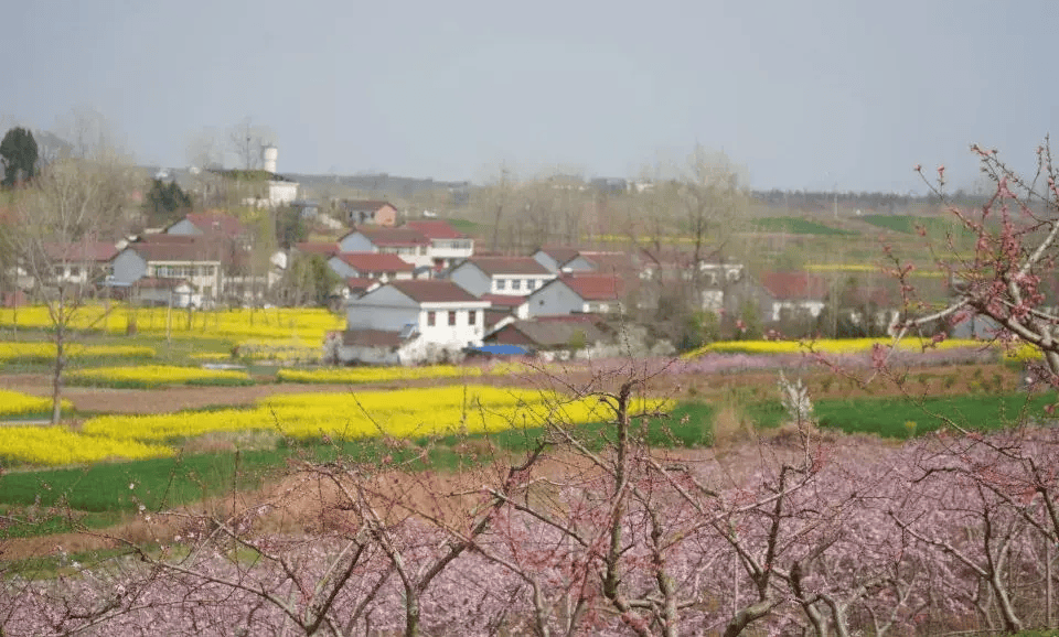 桃之夭夭汉台区徐望镇桃花节出圈