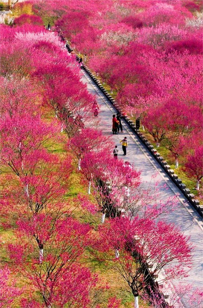 十堰茅箭:接下来,我要进入花花世界!