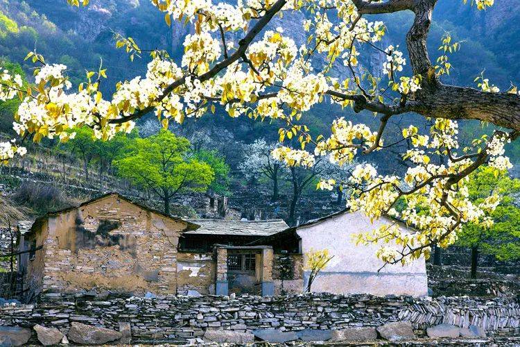 荐读丨高宝军孤独的院门