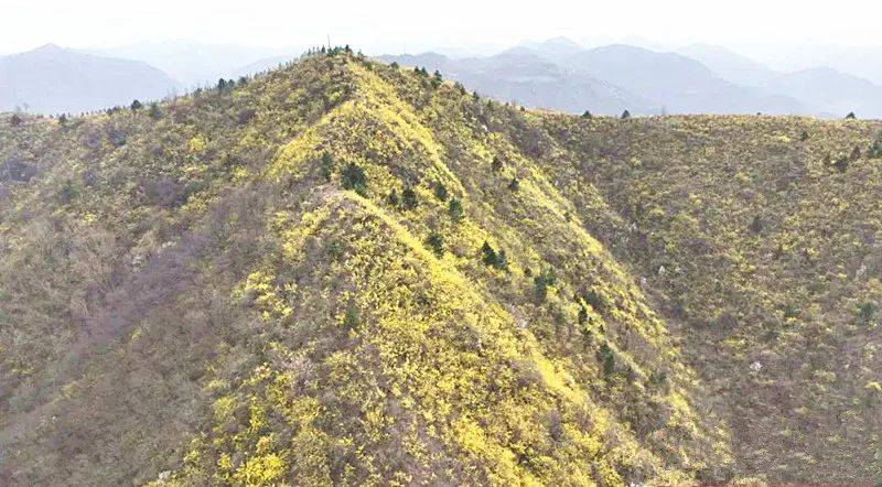 活动_白土_魅力