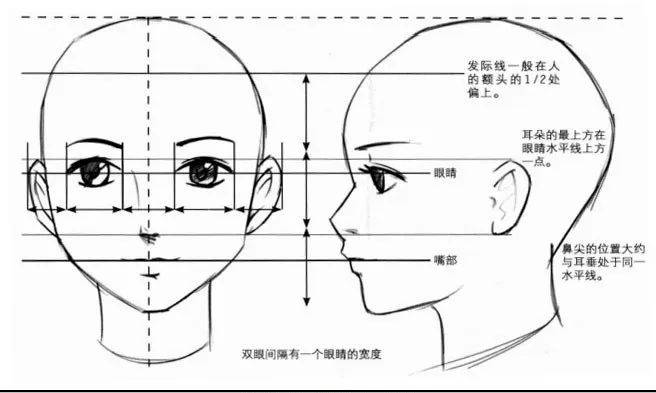 漫画入门——头部的画法以及五官的定位与十字线的运用