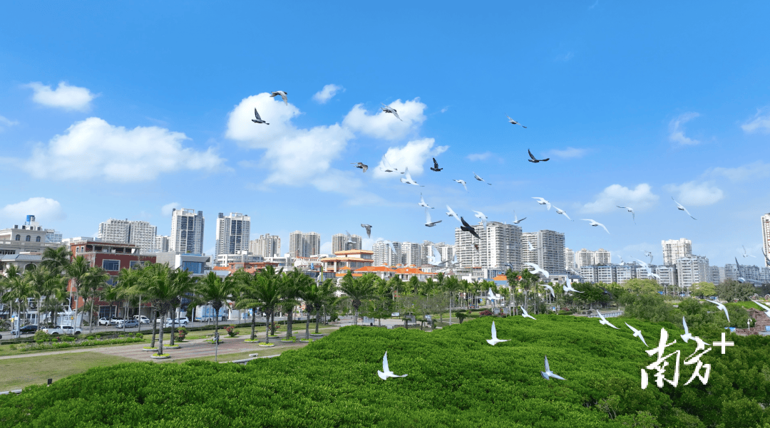 喊话全国网友我爱鲜美霞山短视频征集大赛邀您打卡