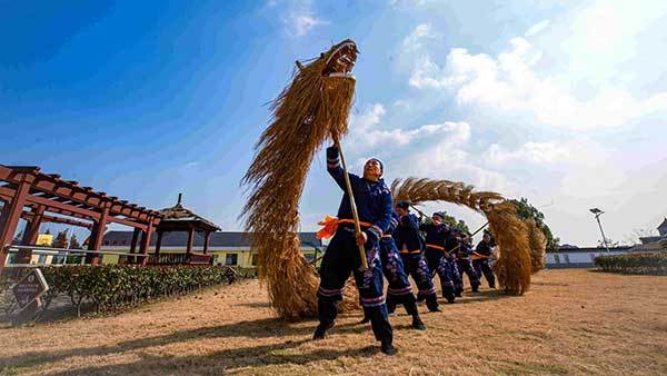 何文权：龙年话草龙_松江_文化_上海