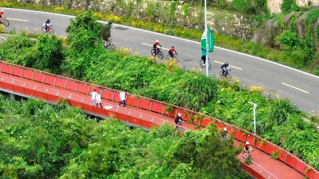 象往新鲜,奔赴山海!2024象山马拉松报名通道开启!_全向_沙滩_赛事