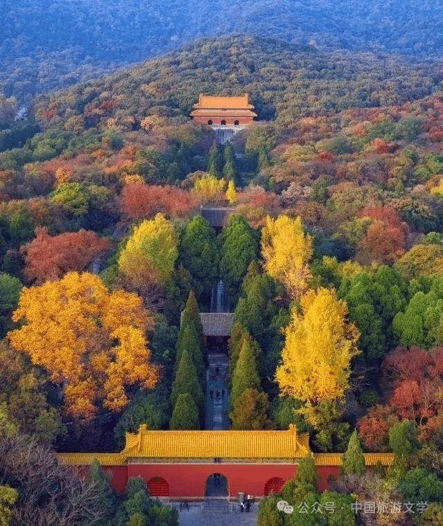 行走丨世稀陵台钟山巍阙