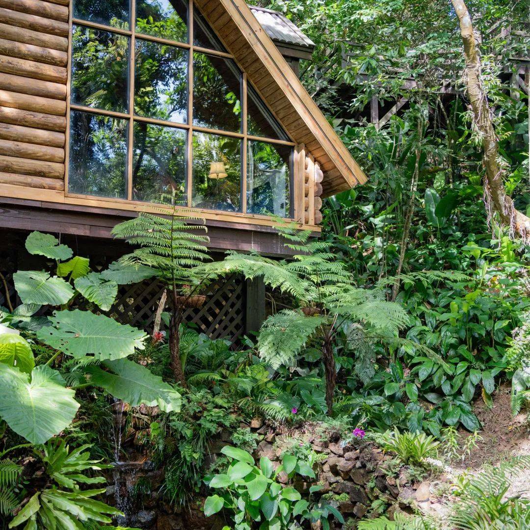 李双江老师又来五指山啦!在方诺寨探寻心灵绿洲的悠然之旅