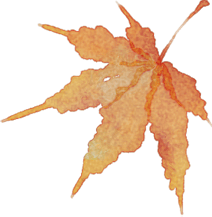 高新教育教师悦读温柔和坚定地走在人生边上