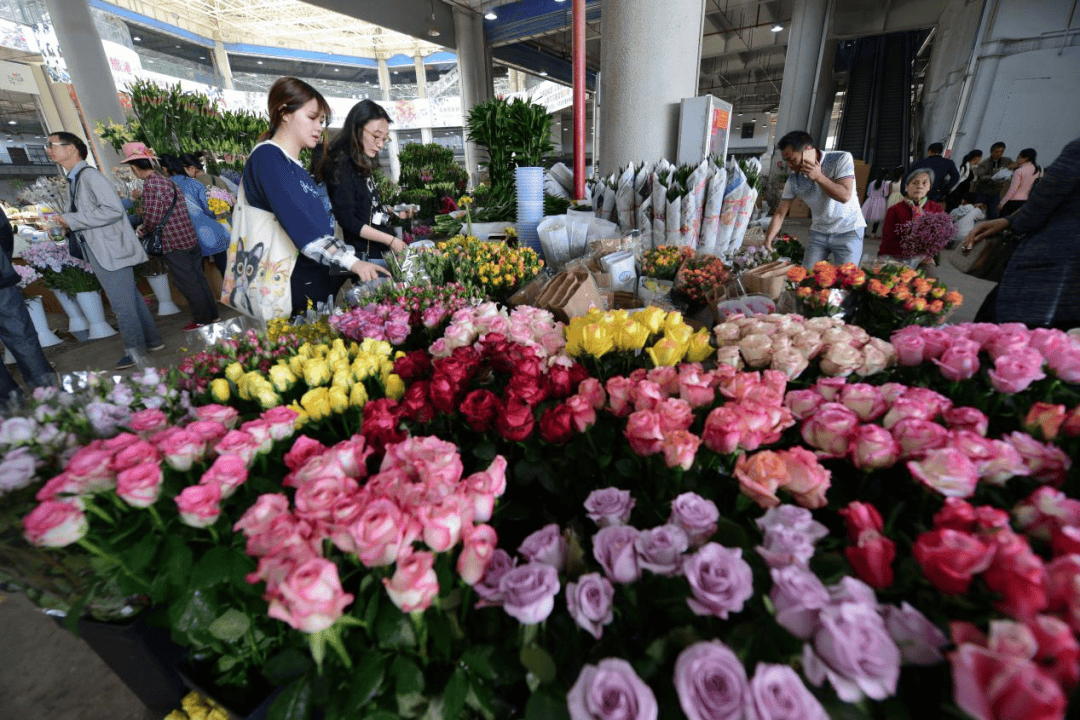 总有一朵鲜花为你而来——"亚洲花都"奇妙夜花香之旅_昆明_花卉_拍卖