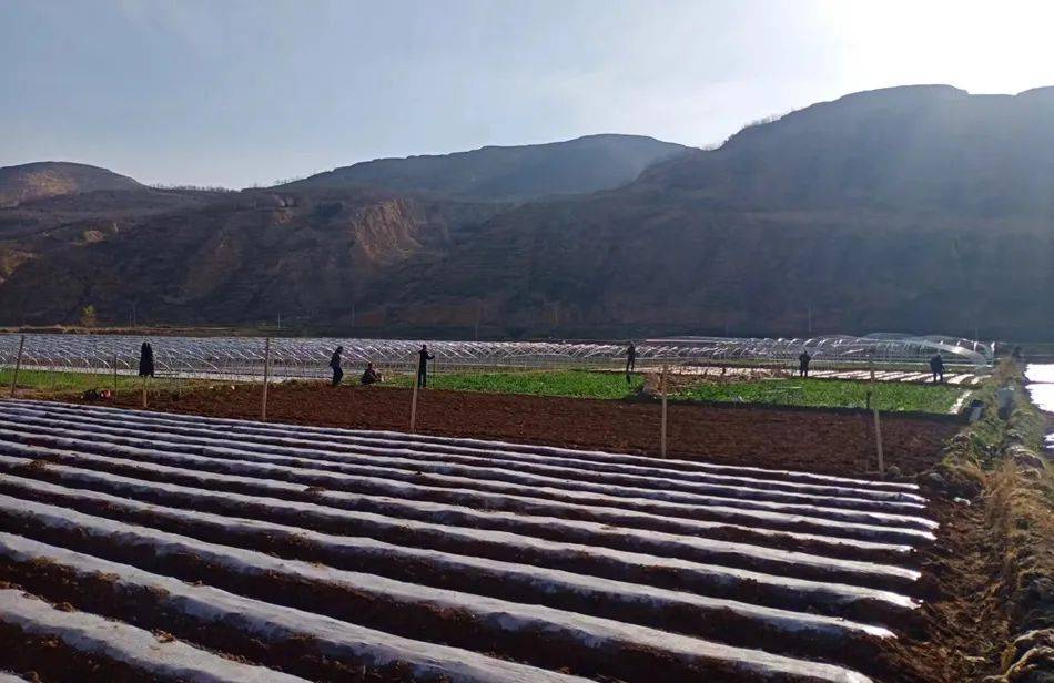 洛门镇按下春耕生产加速键打好春耕备耕主动仗