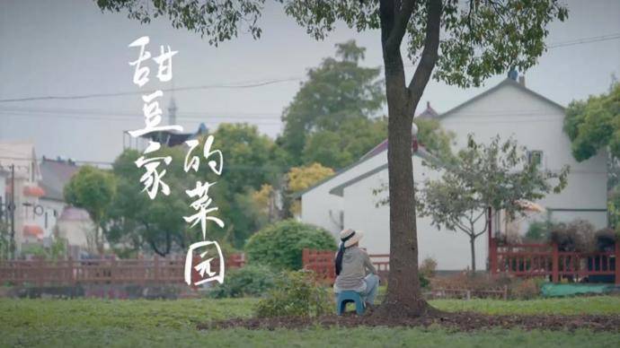 教中国功夫的老外放弃百万年薪创业的高管在上海寻找八家小店