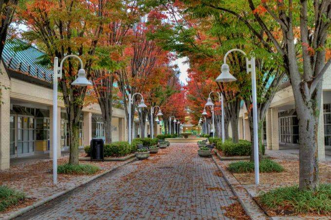 全美最宜居城市排行榜:芝加哥西郊城镇夺冠!_瑞柏市__