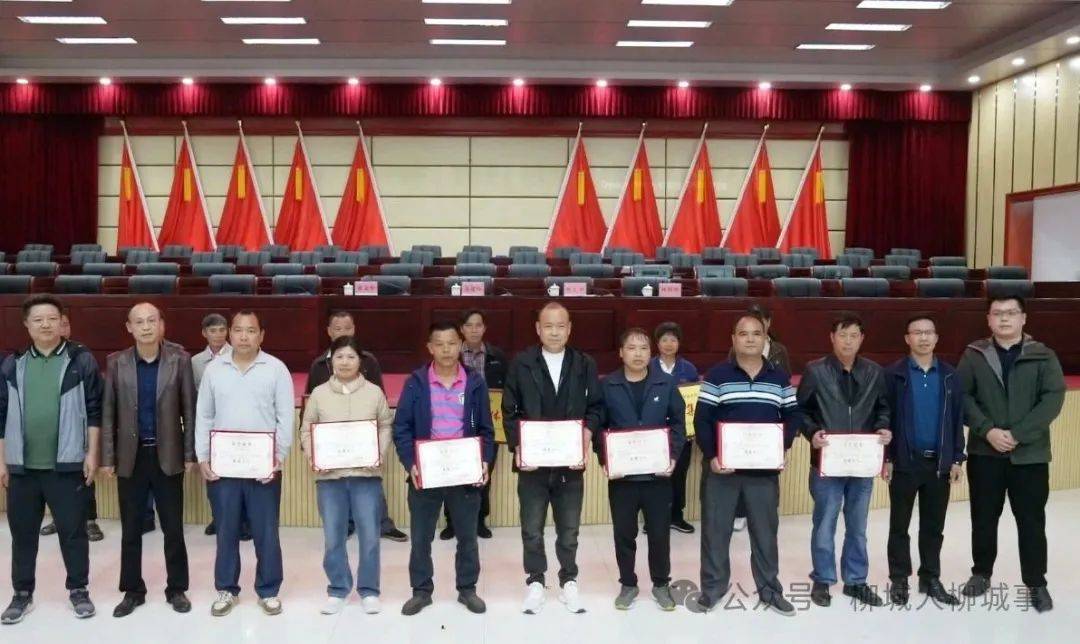 柳城为这11个集体和7名先进个人颁发荣誉牌匾