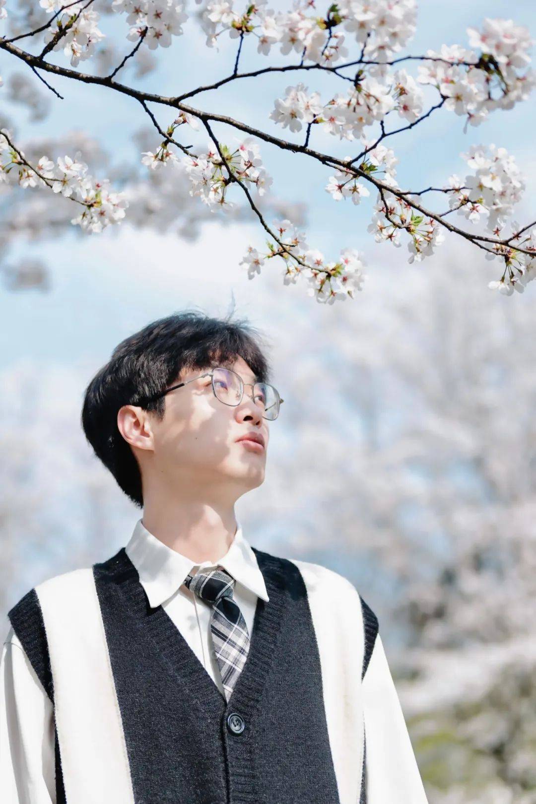 花为信春可期赴一场三月樱花之约