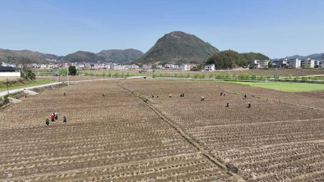 稽东镇车头村图片