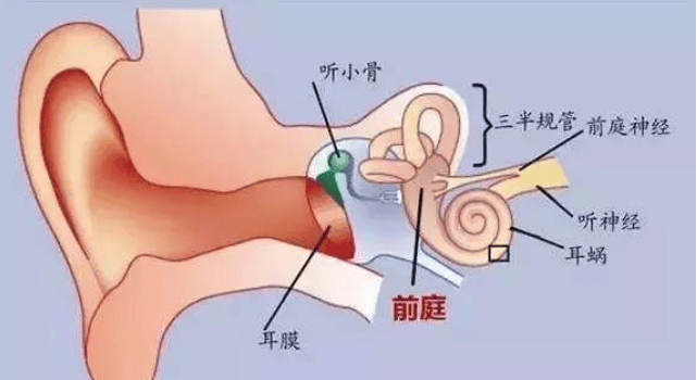症状_治疗_患者
