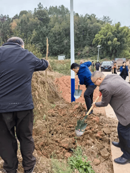 德汇公司积极响应"绿美龙川"精神,携手共筑绿色家园_活动_贡献_车田镇