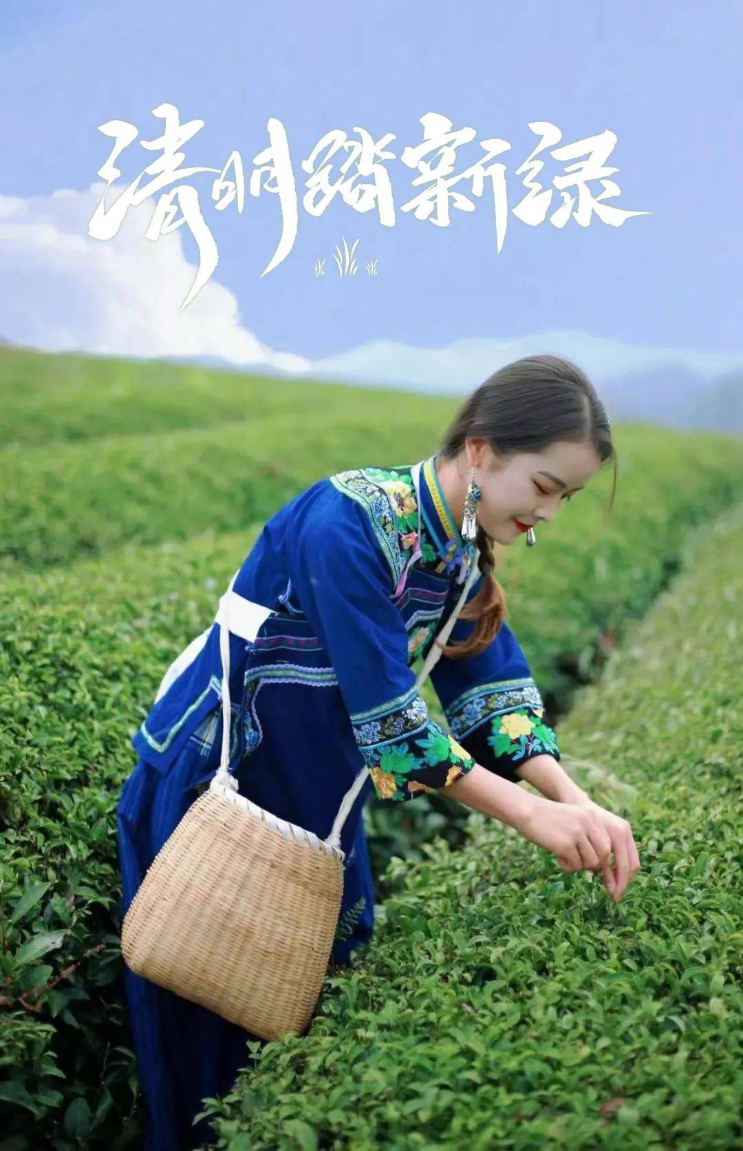 清明超美采茶赏花踏青地放假就出发