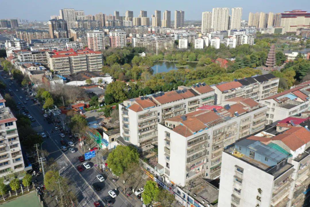 在荆马途中,跑进春日最美沙市_毛杰_拍摄者_荆州