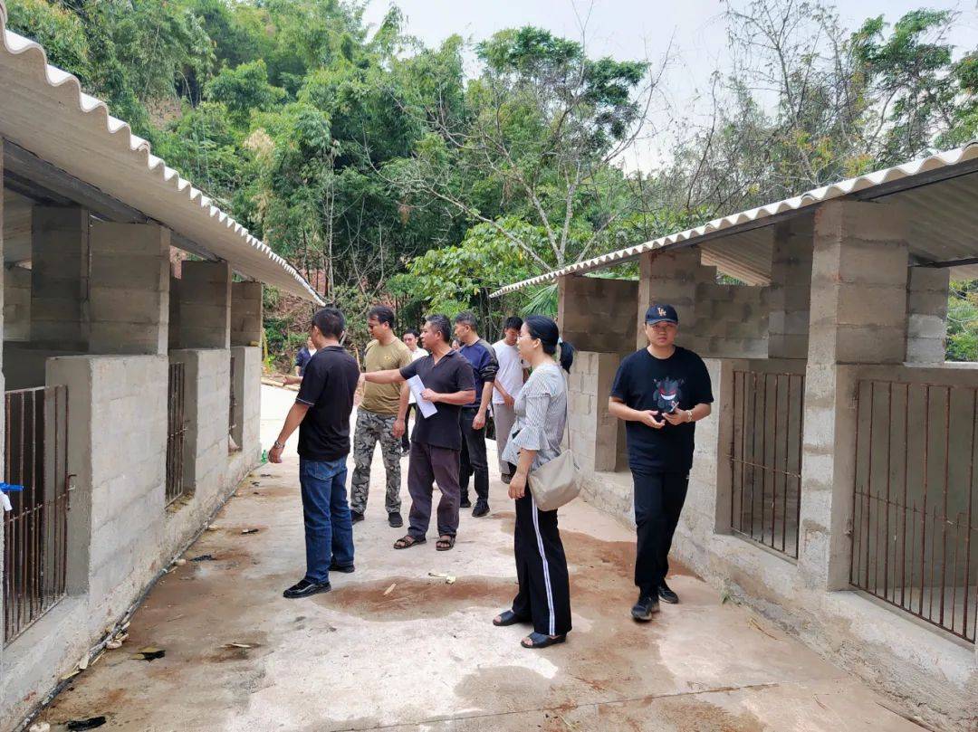 民族团结进步凤山镇示范项目验收落地民族团结基更牢