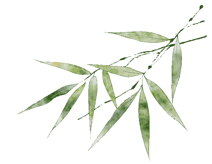 同频互联携手同行嘉善实验庆元实验跨地区教共体开展