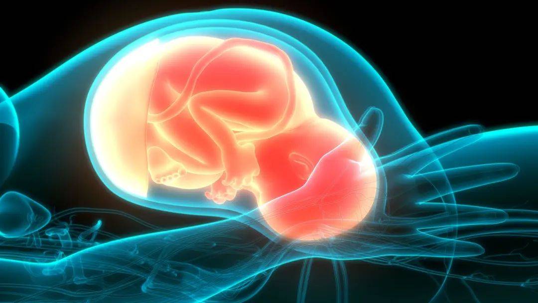 二,胎位胎位是决定胎儿能否正常分娩的重要因素之一.