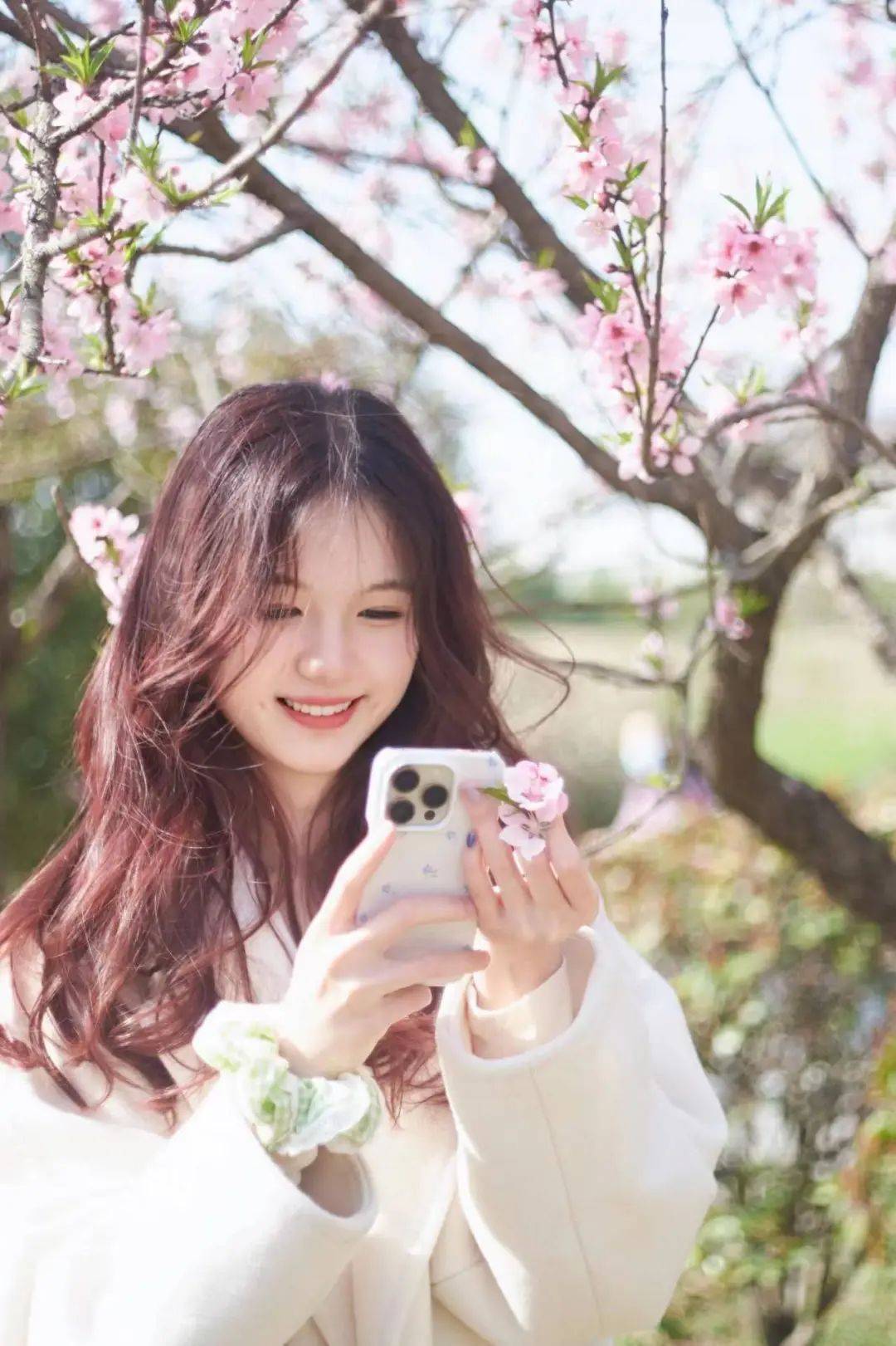 一起探路访花来一场与春日邂逅的校园行