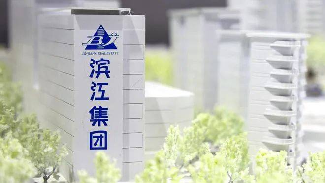 37亿滨江集团出手拿地