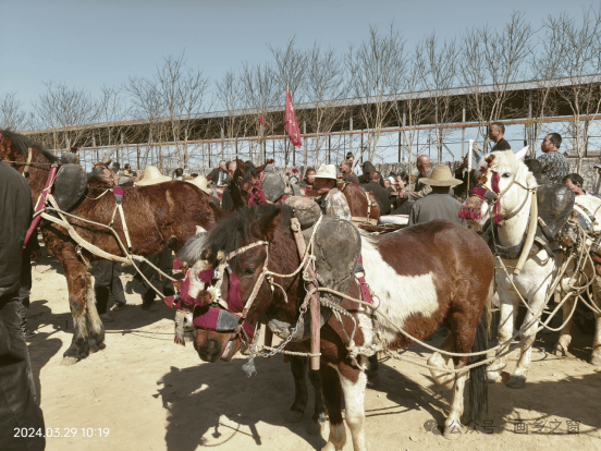 2024年3月29日上午,第二届关中道车马农耕文化传承