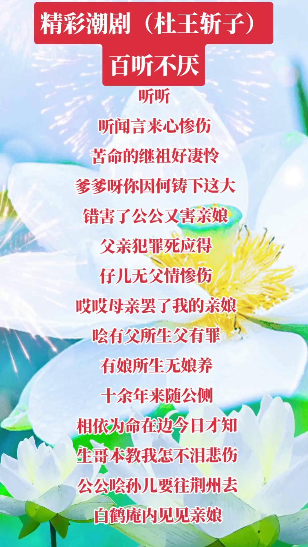 潮剧杜王斩子追媳图片