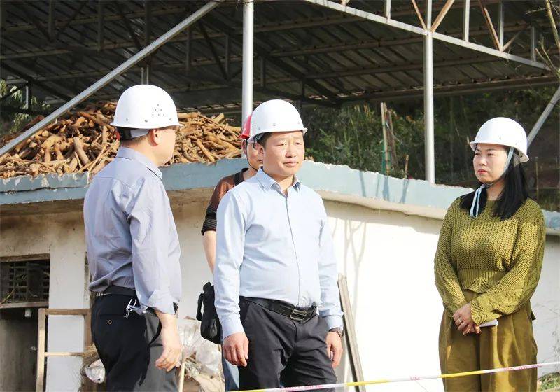 田兴国调研督导地质灾害防治,耕地保护及"山水"项目建设推进工作