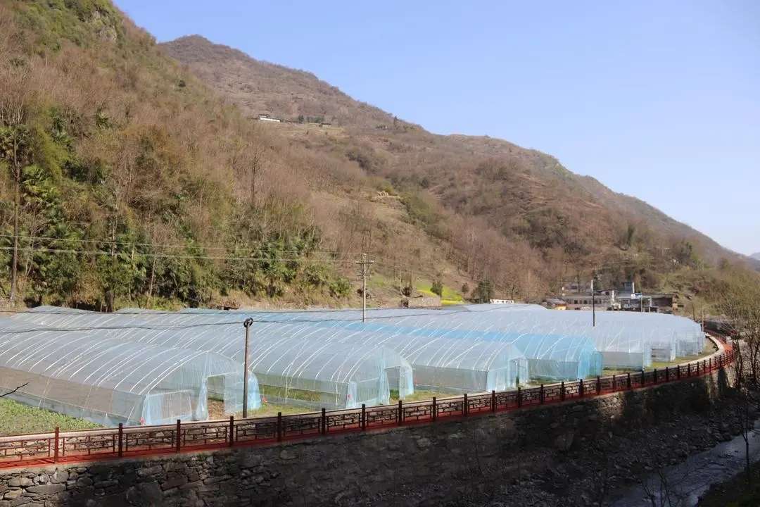 白河县麻虎镇村美民富产业兴和美乡村画中来