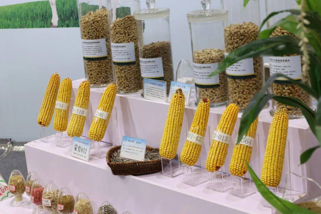 巴彦淖尔市农科所多项科技成果亮相内蒙古国际农博会