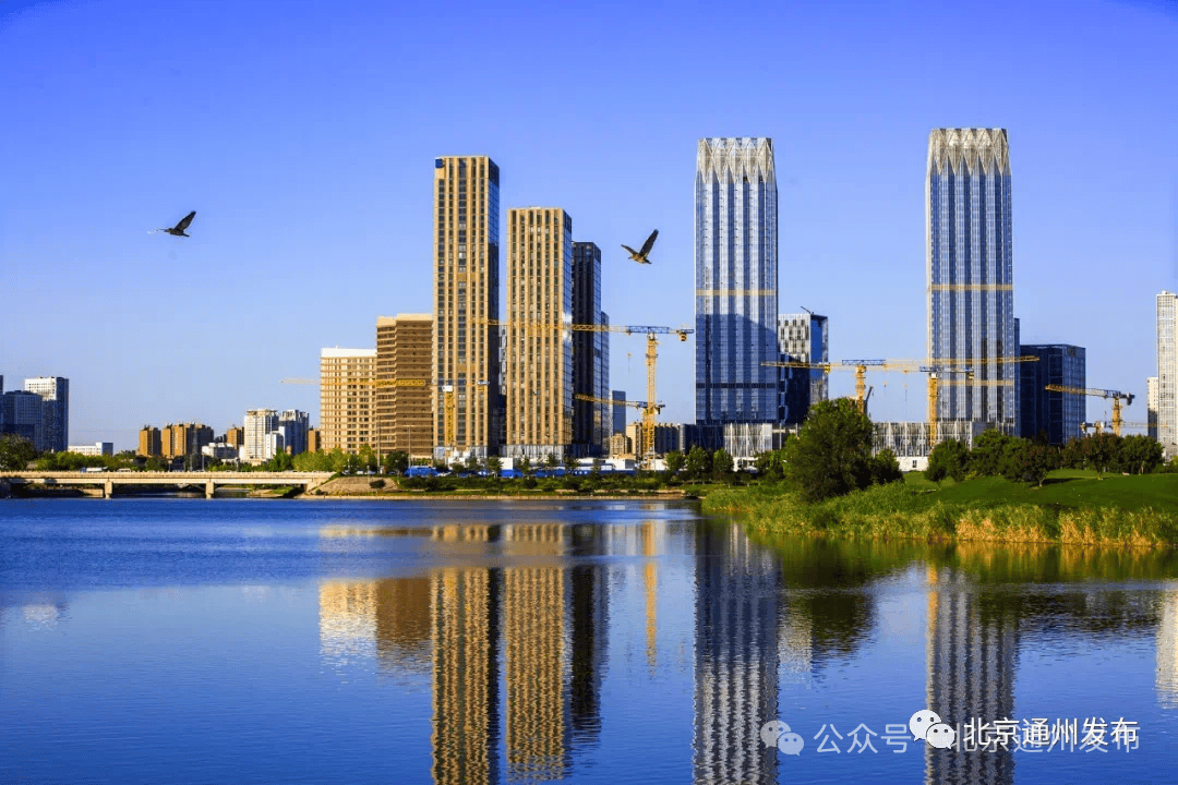 今年已有52家重点企业完成注册运河商务区喜迎开门红