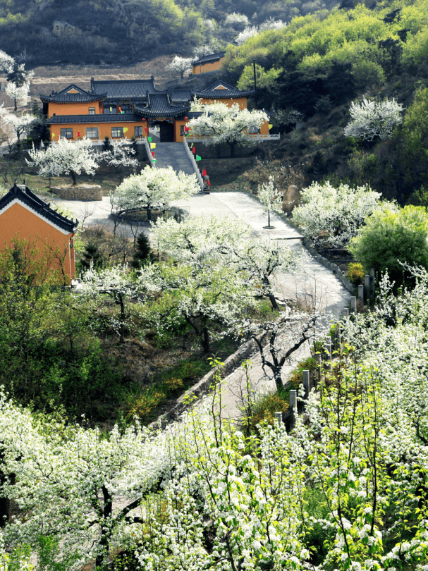 4月顶流预定订单增长934鞍山两大重磅活动即将c位登场