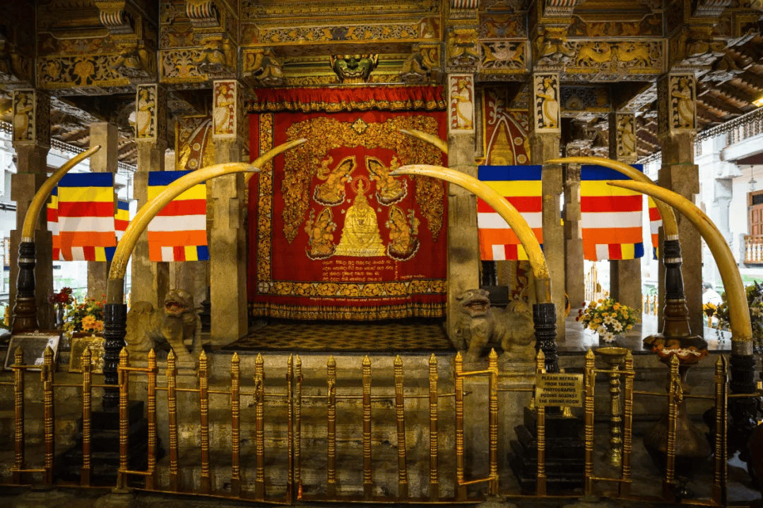 印度贵替lp最佳旅行国第1名比马代原生比柬埔寨神秘6767去过就不