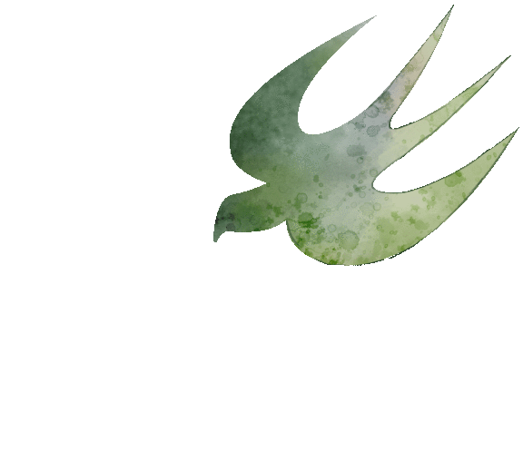 同频互联携手同行嘉善实验庆元实验跨地区教共体开展