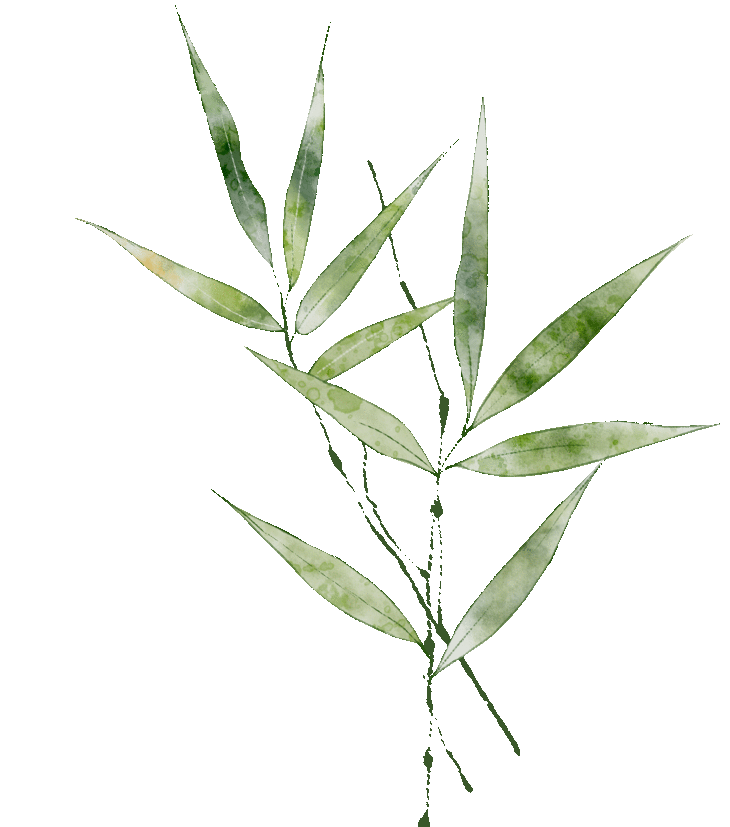 同频互联携手同行嘉善实验庆元实验跨地区教共体开展线上同步课堂及