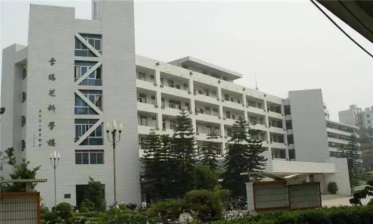 广东信宜市教育局招聘教师79人_岗位_小学_特殊教育