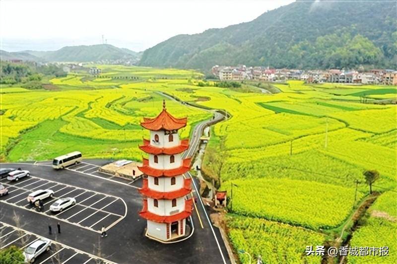 樱花红陌上邂逅在咸安2024年咸安区樱花文化旅游活动在大幕山启动