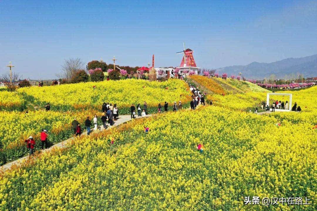 汉中油菜花最佳观景点图片