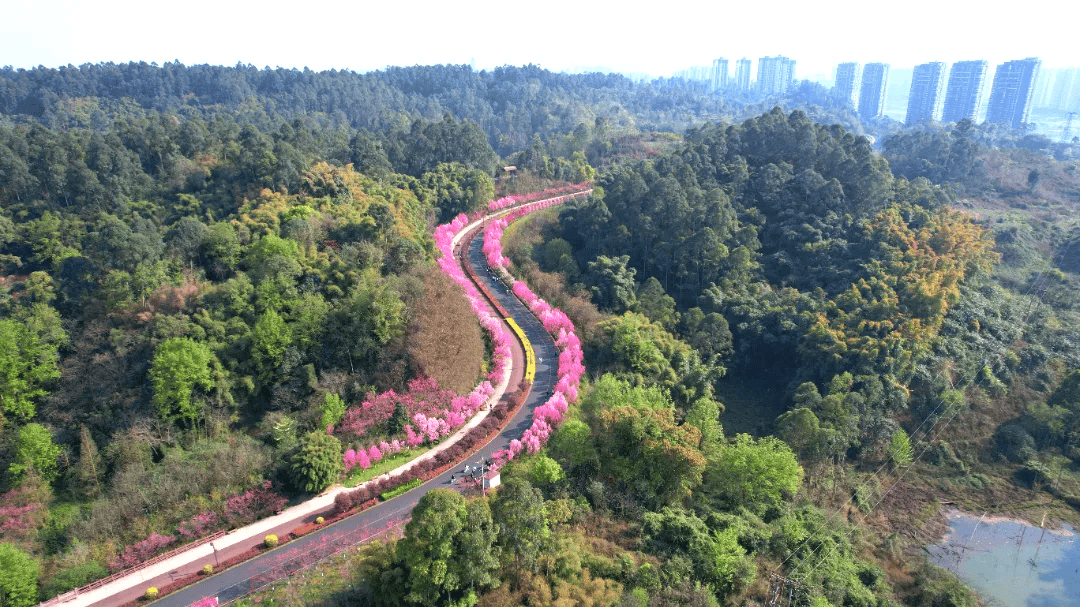 周末去哪儿 | 来绿心开启你的"寻味之旅"_乐山_公园_码头