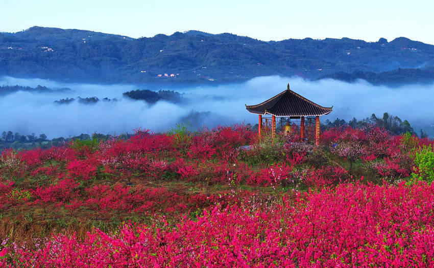 纳溪区旅游景点图片