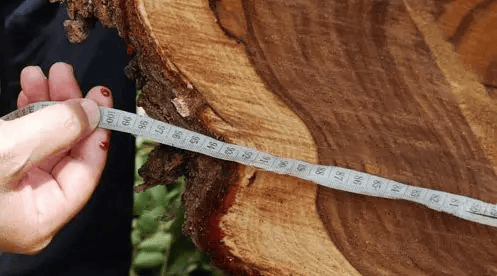 占据市场90份额的五种红木