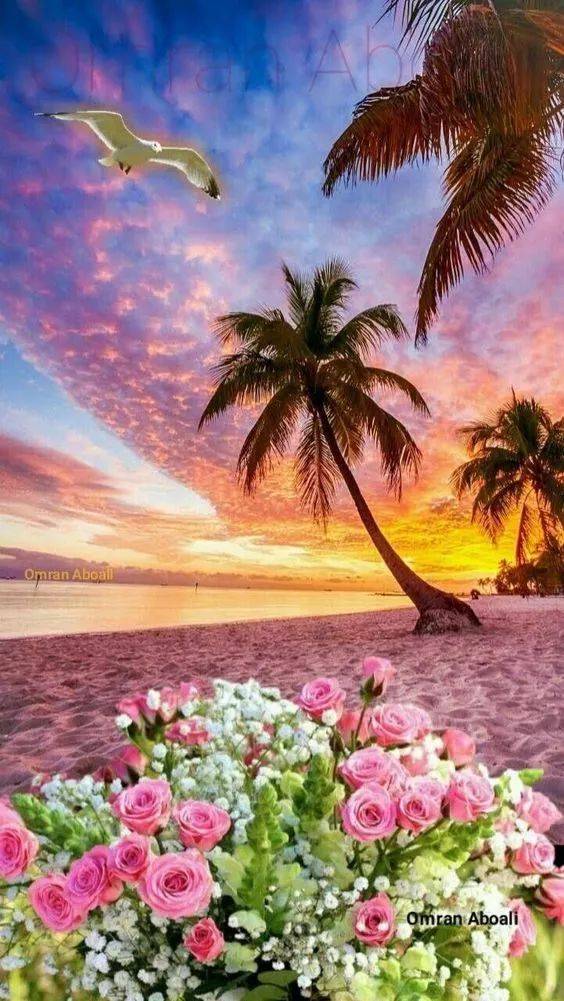 一首听心听完心情大好