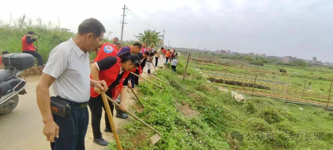 长洲镇龙华村情系群众办实事沟渠清淤保农灌