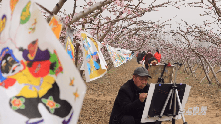 内黄豆公桃花节活动安排公布啦