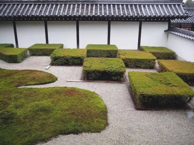 2024年4月|中苗会日本游学前瞻—东福寺_庭园_白砂_青苔