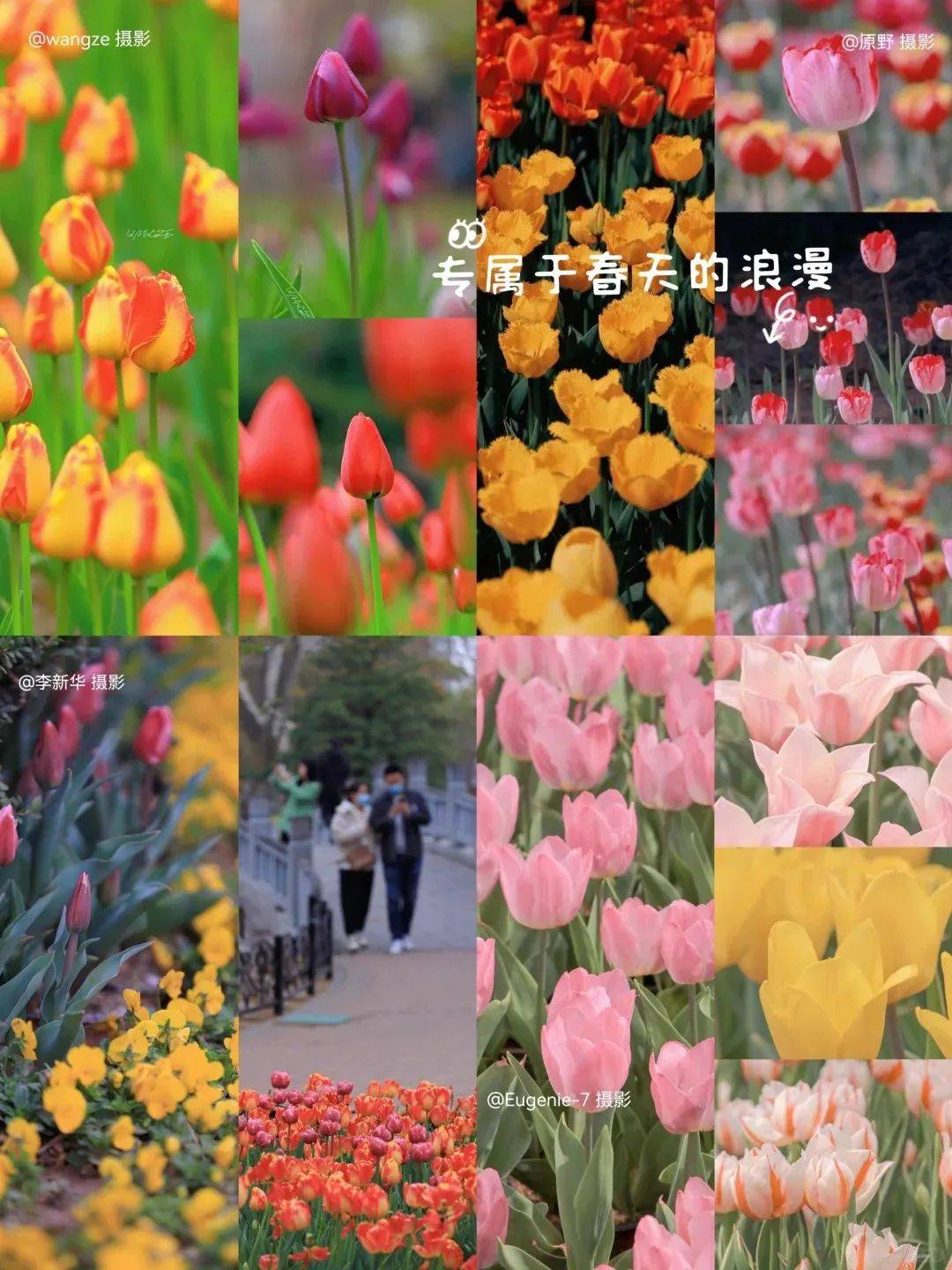 小布播报明天部分区域临时交通管制清明假期郑州铁路加开多趟列车河南