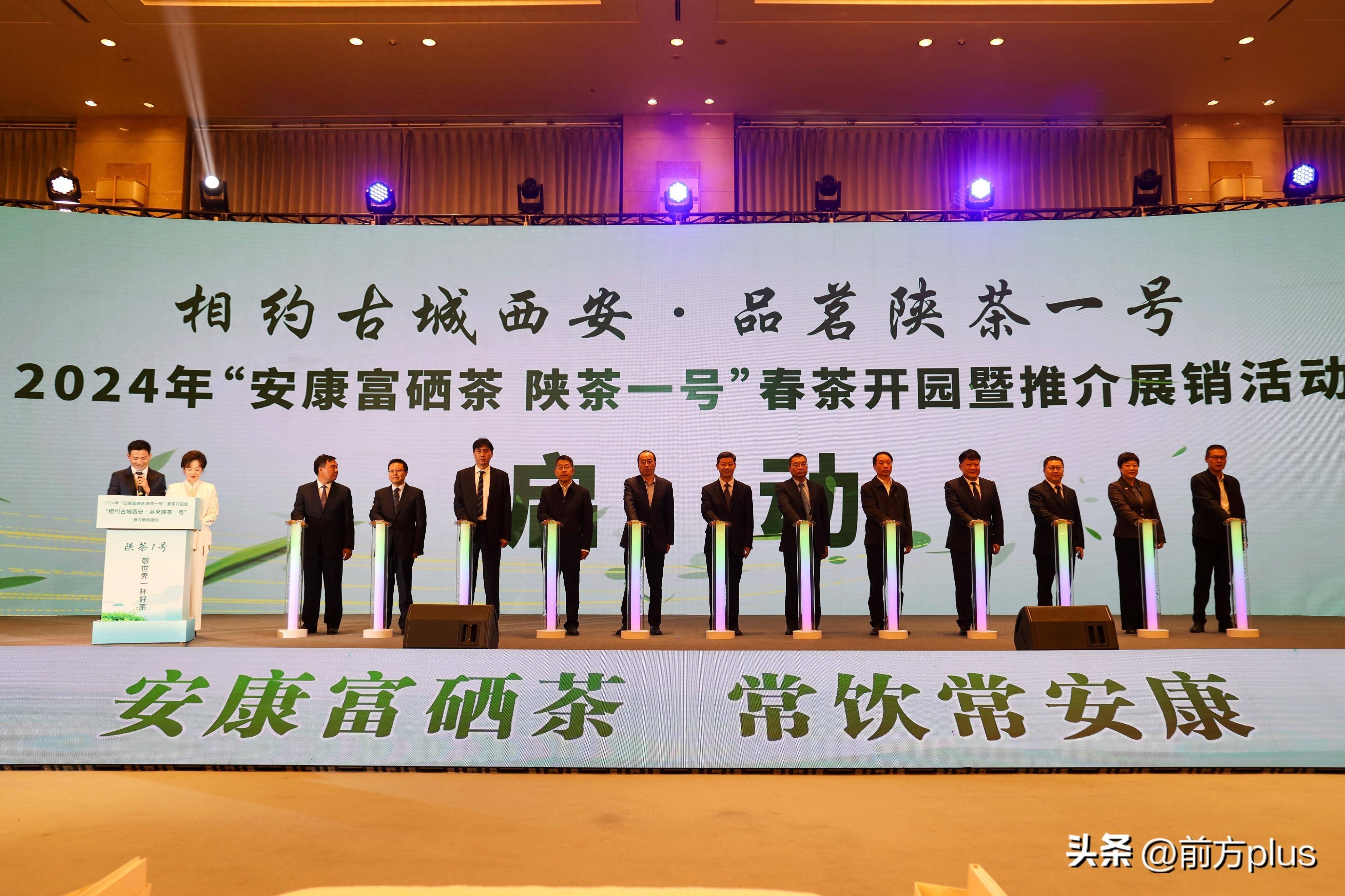 让市民零距离感受陕茶一号醇香67安康汉滨春茶开园活动走进西安